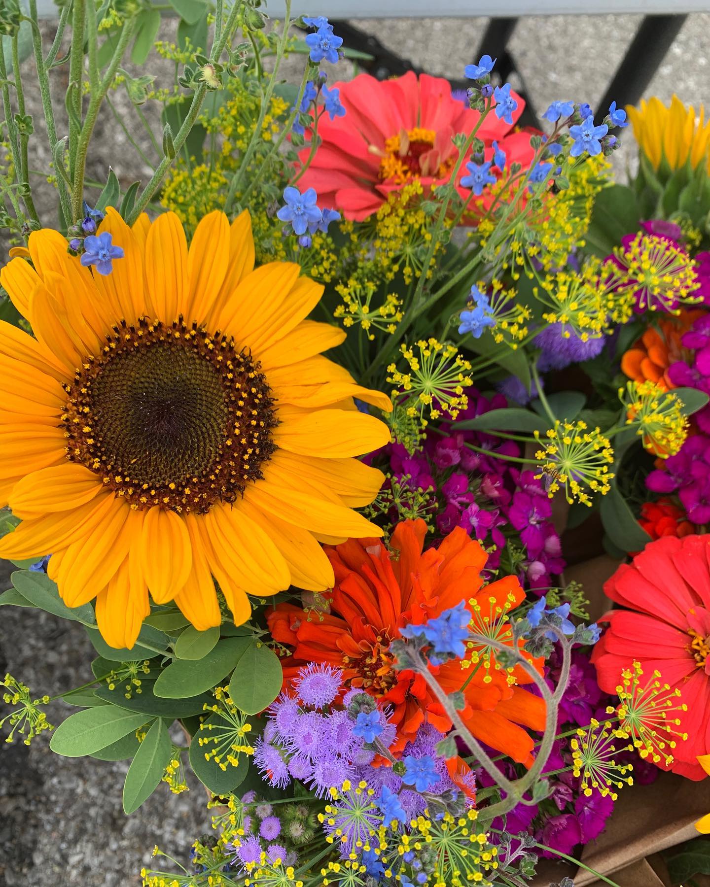 bucket of bouquets with rainbow colors featuring sunflowers, cynoglossum and zinnias