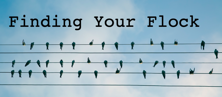 Finding Your Flock with birds on power lines.