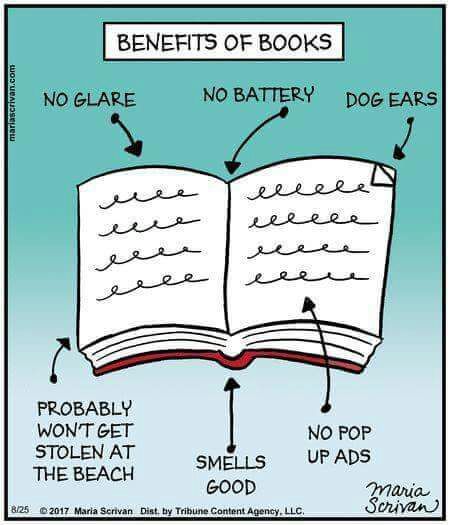 The book has descriptions of no glare, no batteries, no pop up adds, no dog ear, smells good and probably won't get stolen at the beach.