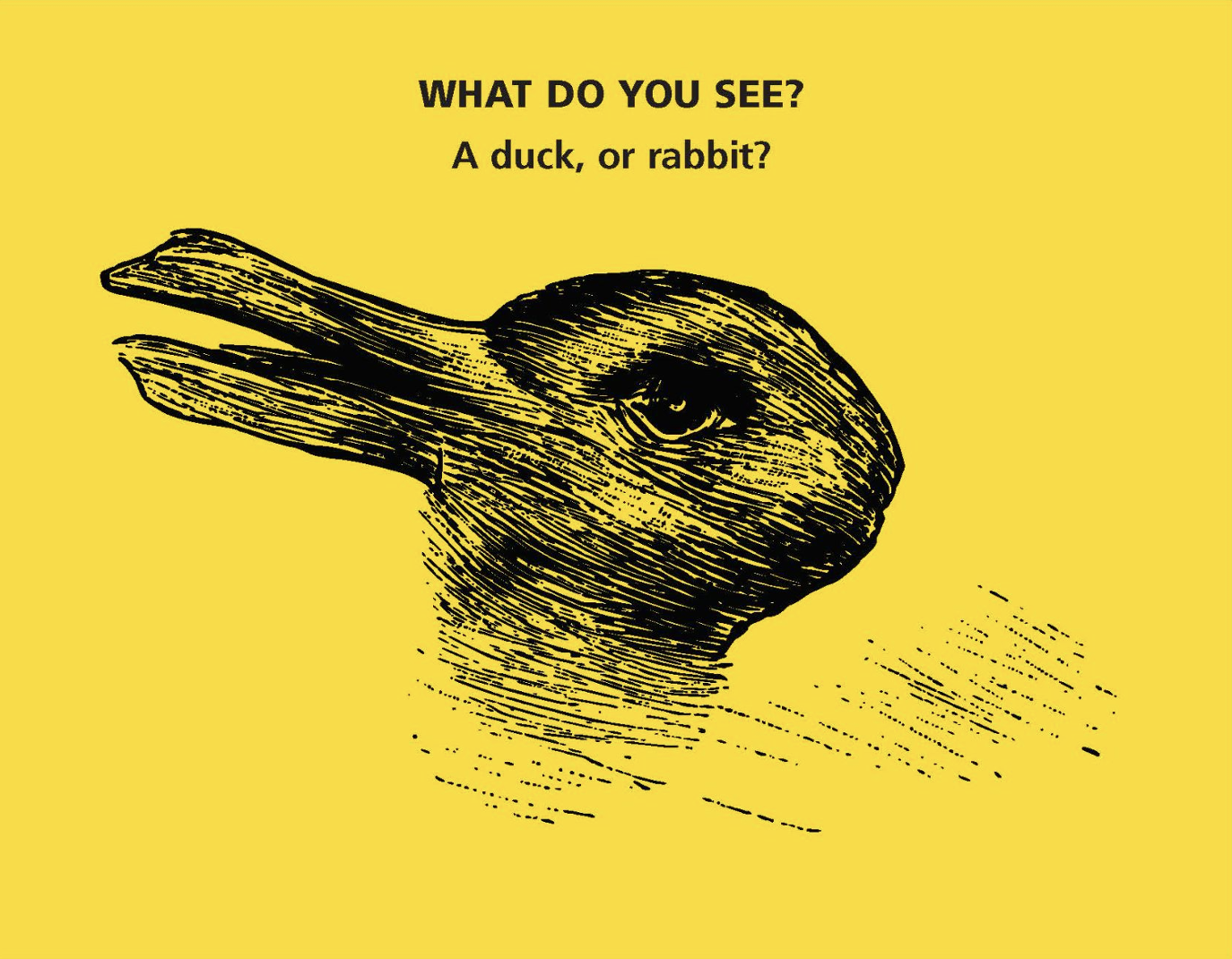 Image of a drawing that can be perceived as a duck or a rabbit