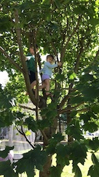 Dean checking on Hazel's position in the tree.