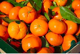clementine oranges with leaves