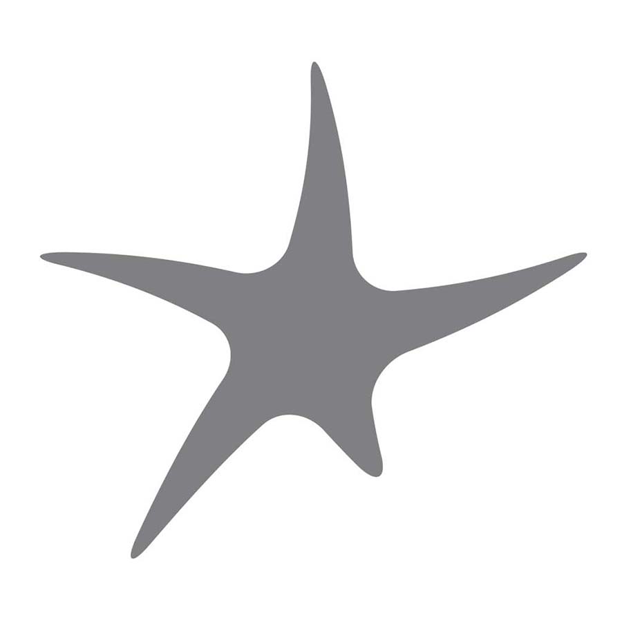 grey starfish