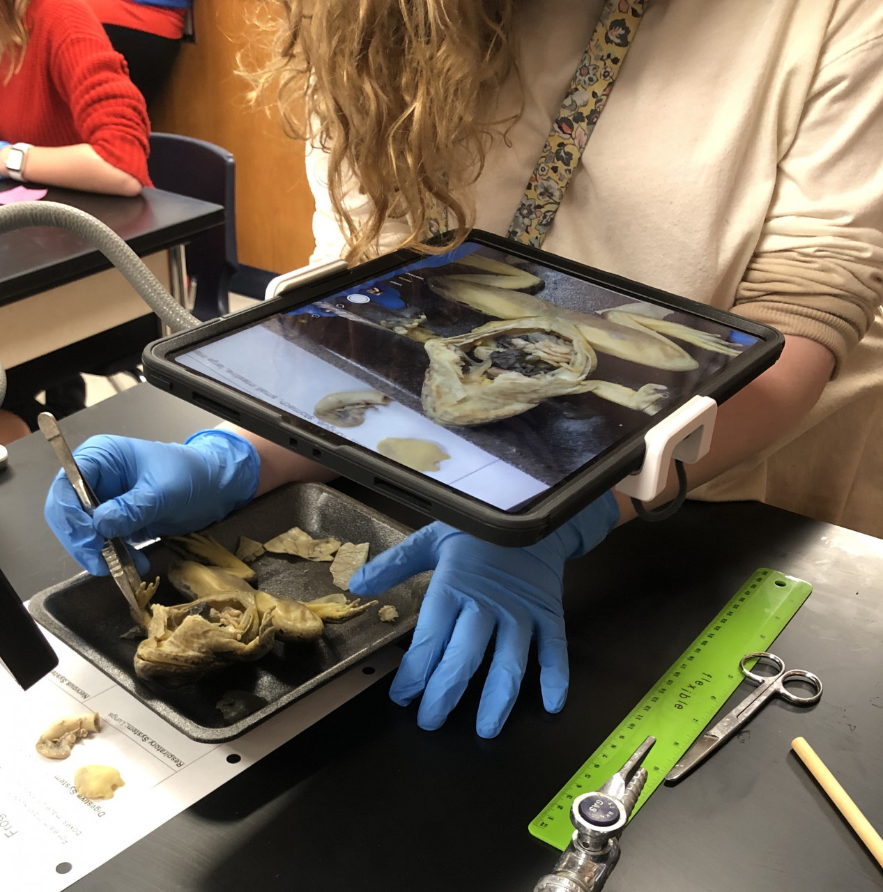 20220120-004655frog-dissection-and-iPad-Pro