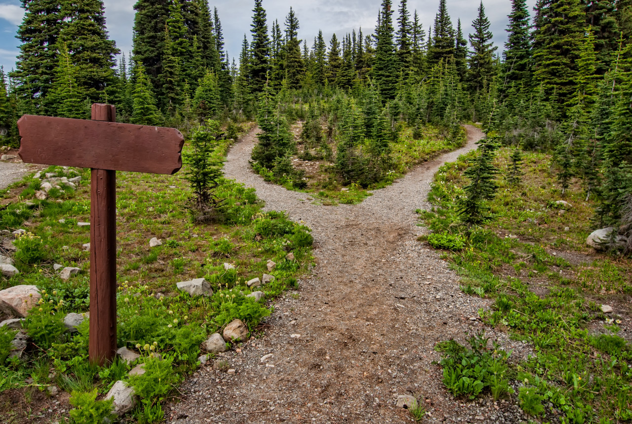 A fork on the trail leading into a wooded area.