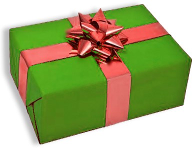 wrapped Christmas Gift